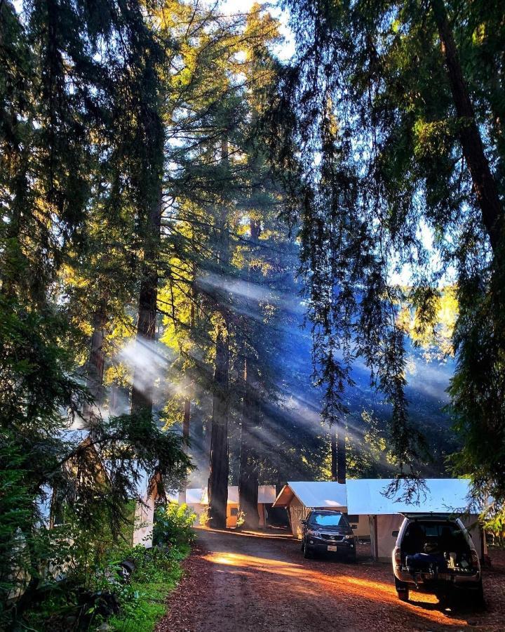 ביג סור Fernwood Resort מראה חיצוני תמונה